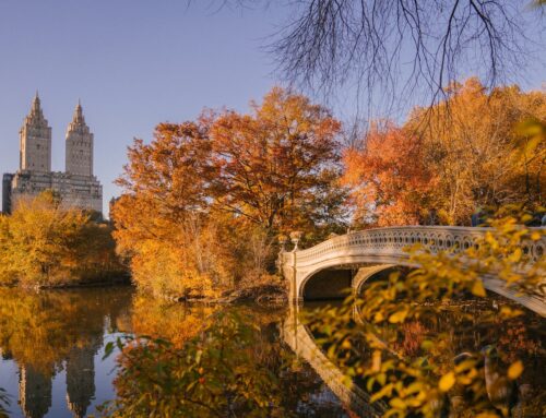 Autumnal Adventures in the Big Apple: The Best NYC November Experiences