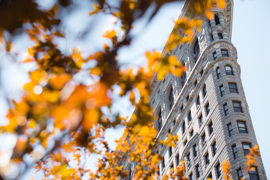 flatiron building with fall leaves in the foreground